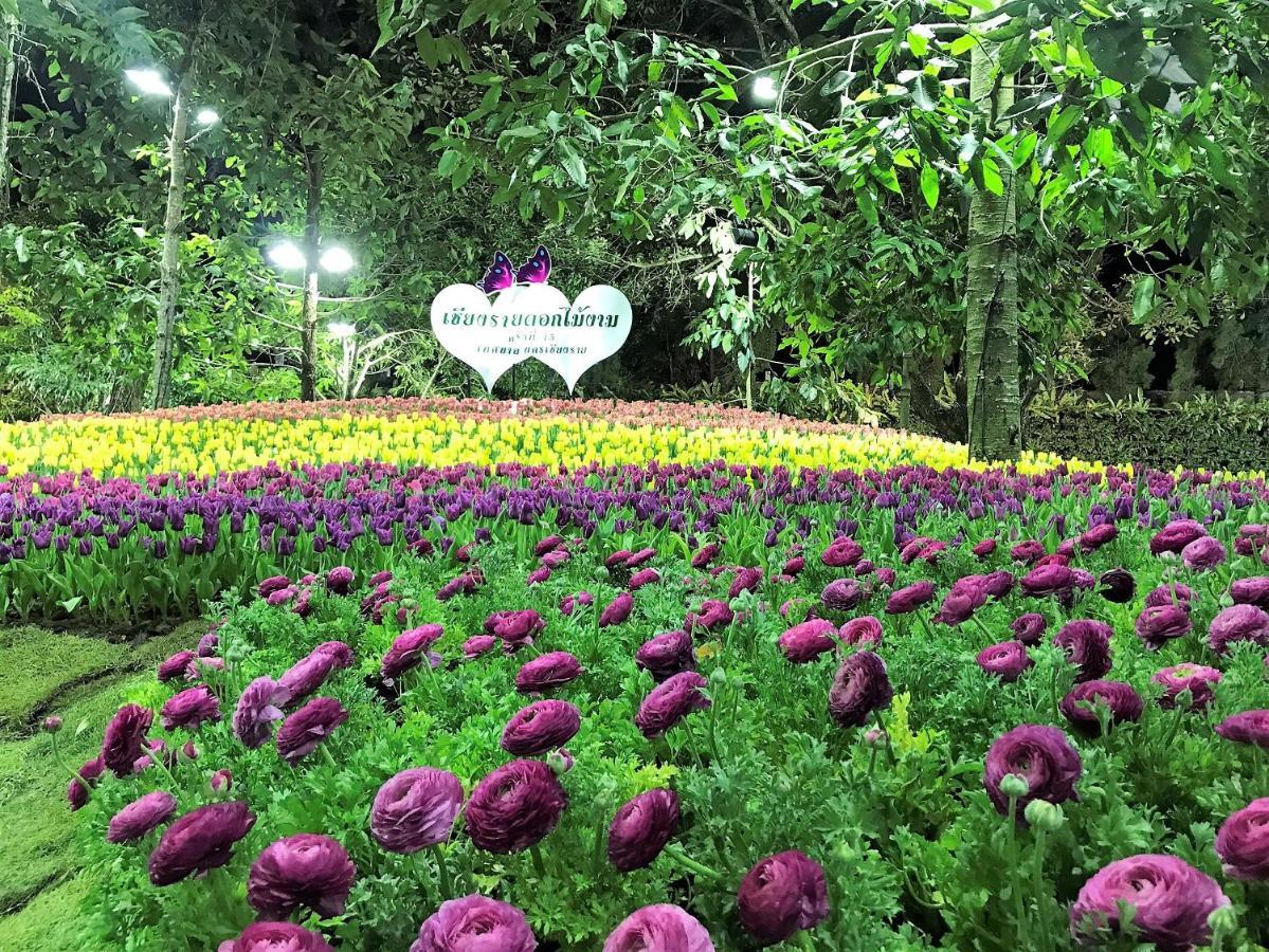 Bann Tawan Hostal *